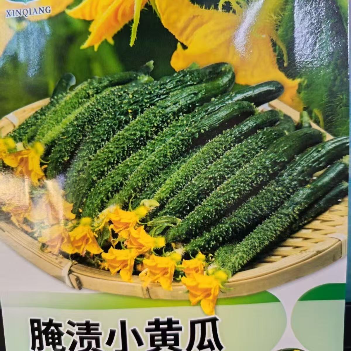 【腌渍小黄瓜种子】腌渍小黄瓜种籽大全四季春季上种球
