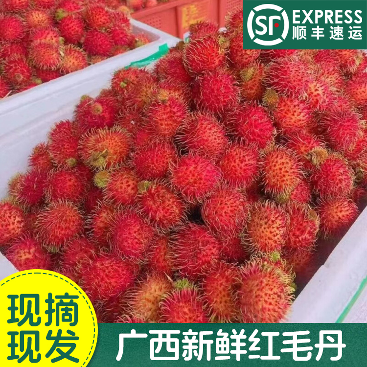 【顺丰】广西新鲜红毛丹孕妇毛荔枝鲜果现摘现发热带鲜荔枝大果水果