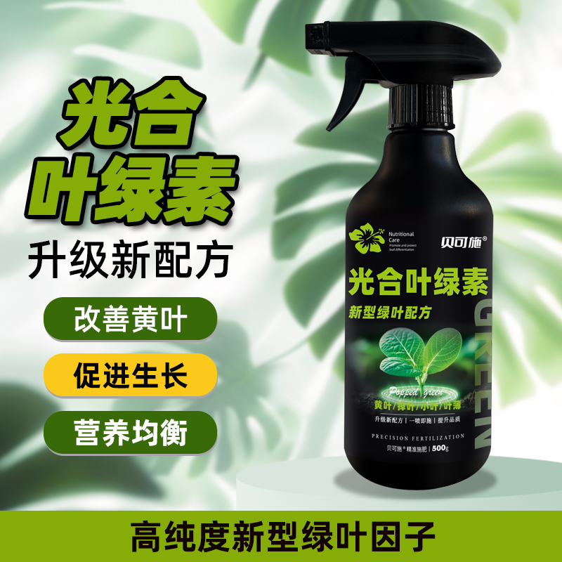 贝可施光合叶绿素多肉植物催芽促花叶插绿植营养液通用型