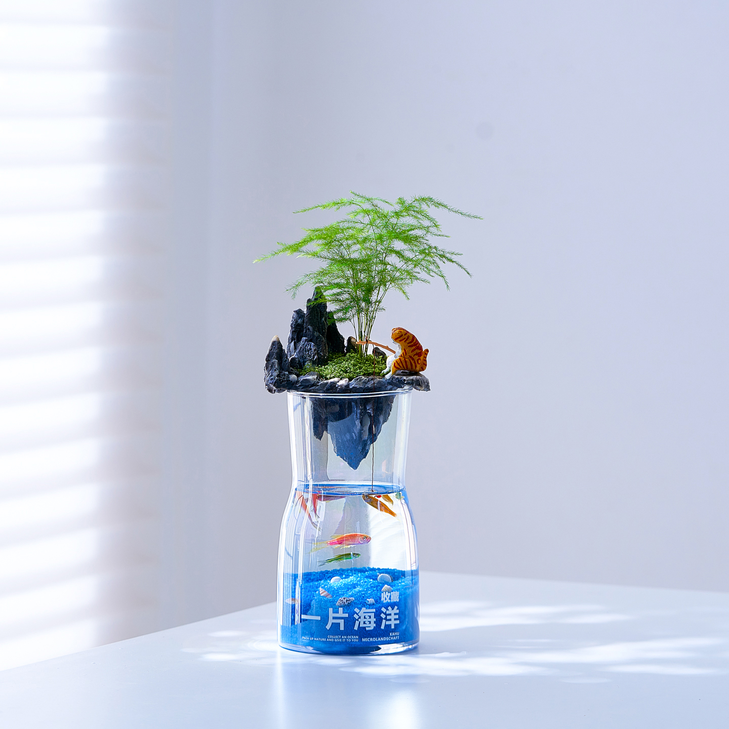 一片海洋微景观摆件水培植物办公室绿植室内工位桌面文竹盆栽礼物