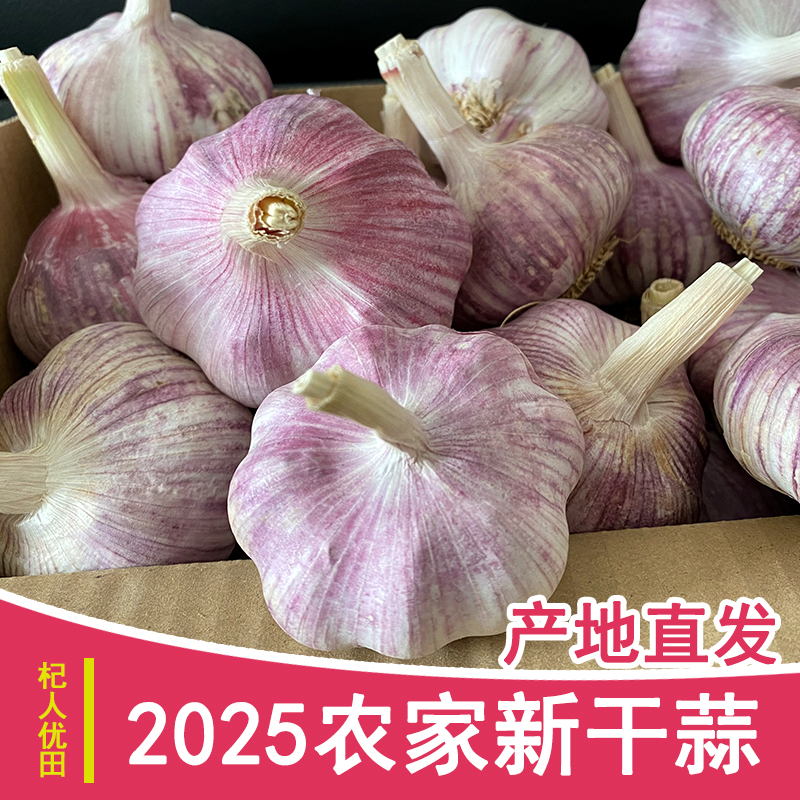 农家新晒5斤2025新干蒜紫白皮大蒜头产地特大干大蒜种子1斤3斤9斤