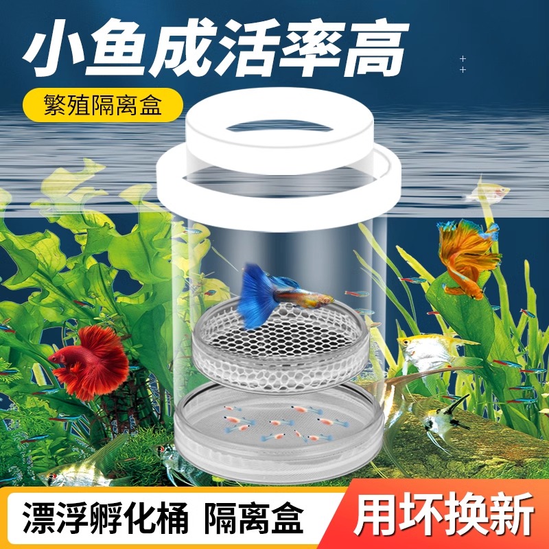 鱼缸隔离盒孔雀鱼繁殖盒凤尾斑马母鱼产房小鱼缸内胎生鱼幼鱼孵化