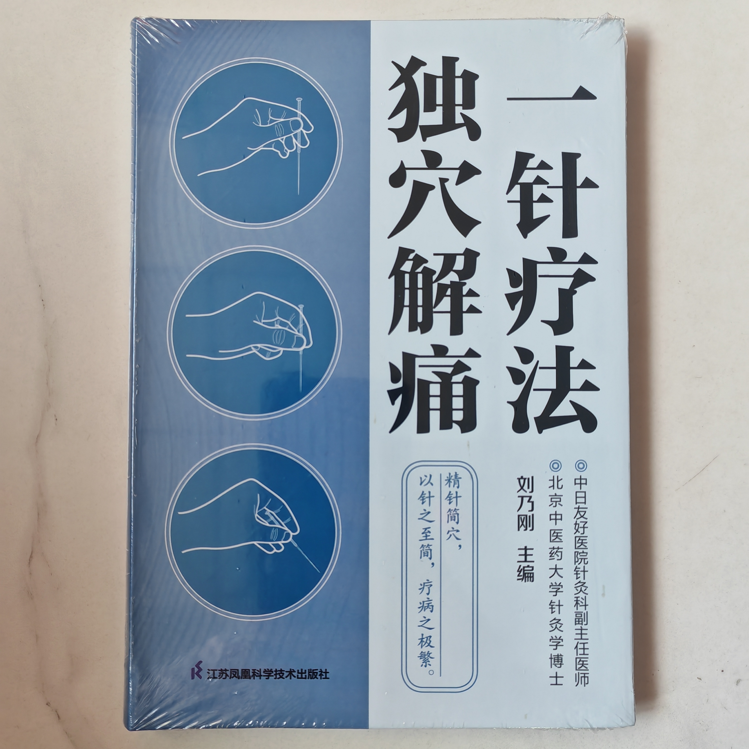 一针疗法独穴解痛   主编 刘乃刚