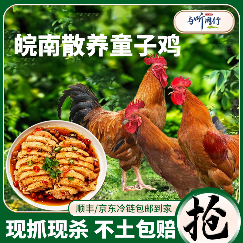 【孩子爱吃童子鸡】与听同行高山散养整鸡拍2只发3只 包冰率不含冰