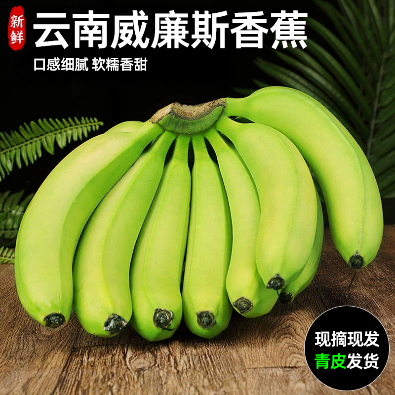 云南版纳威廉斯香蕉3/5/9斤新鲜水果软糯香甜现摘高山青皮甜香蕉