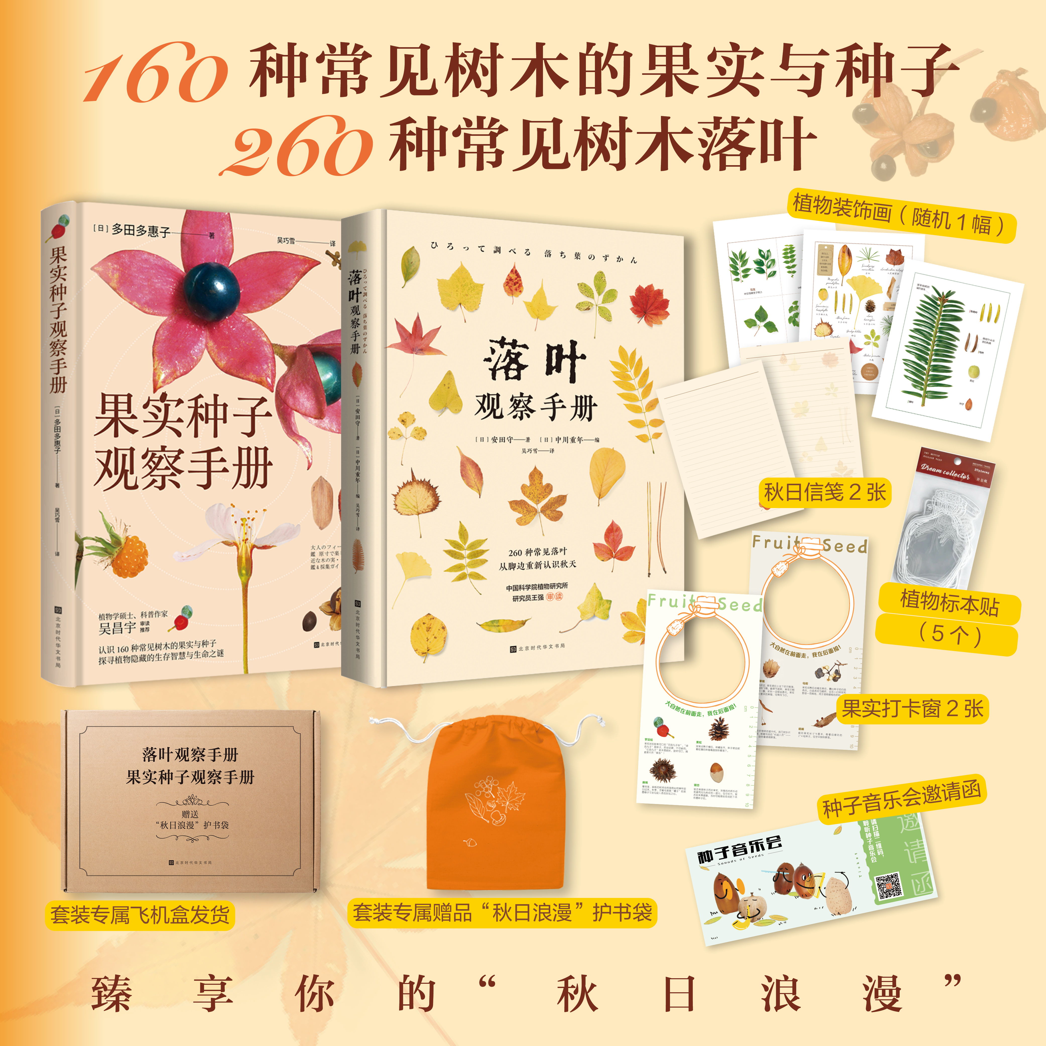 落叶观察手册+果实种子观察手册   体悟秋日自然之美