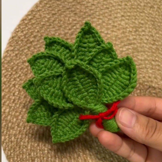 手工DIY编织祛晦气柚子叶挂件简单钩织毛线diy材料送朋友闺蜜礼物