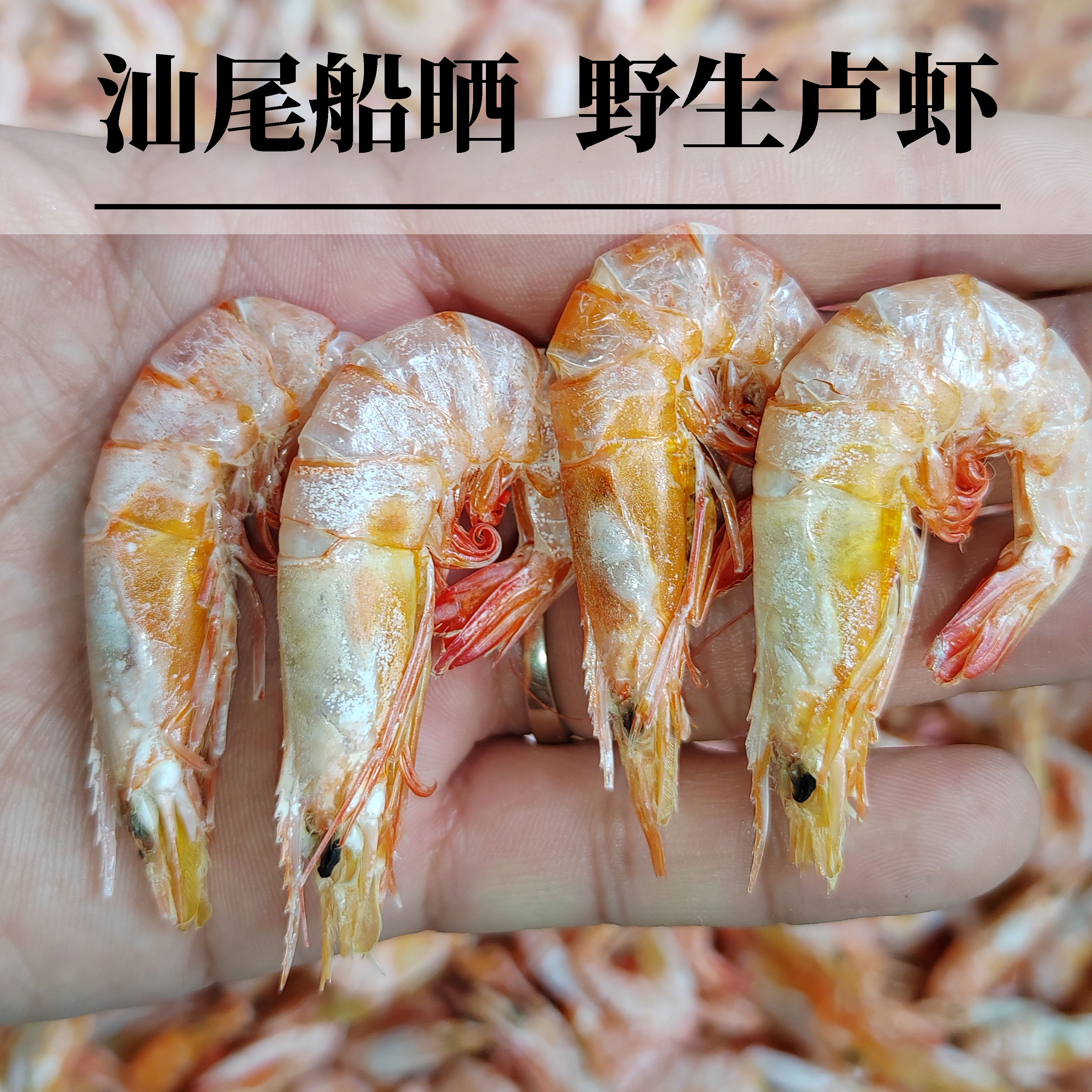 广东汕尾港卢虾脯红须虾足干鲜甜煲粥干货（野生海虾个头是大号）