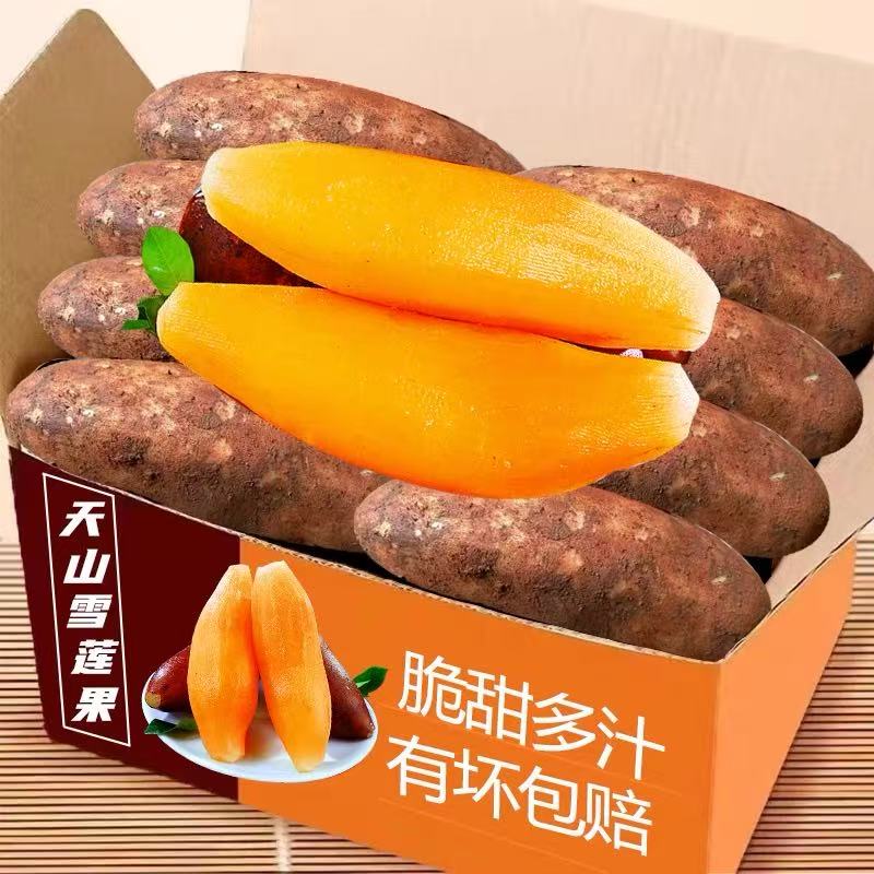 【10斤大甩卖】2025年天山雪莲果农家新鲜脆甜现挖多汁水果特价批发