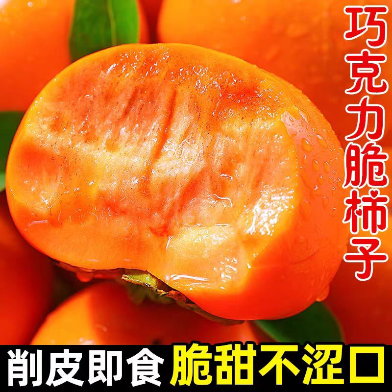 【不涩口不麻嘴】山西阳丰巧克力脆柿阳丰脆柿冰糖心脆柿子新鲜脆甜