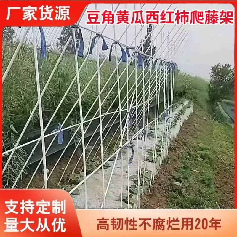 农用种植拱棚支架弹力棒玻璃纤维杆黄瓜豆角西红柿爬藤架骨架拱杆