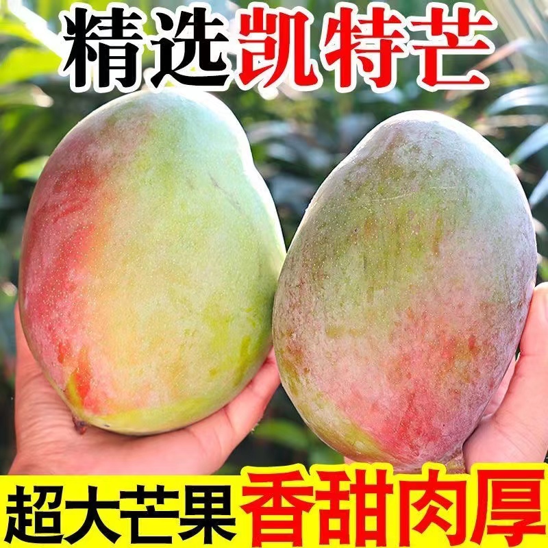 【放软了吃】四川攀枝花高山晚熟凯特芒孕妇食品农家自种