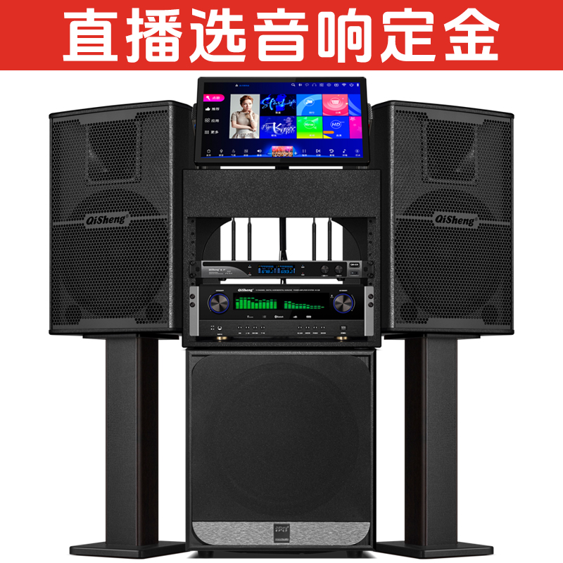 Qisheng/奇声新款专业音响订金专用链接