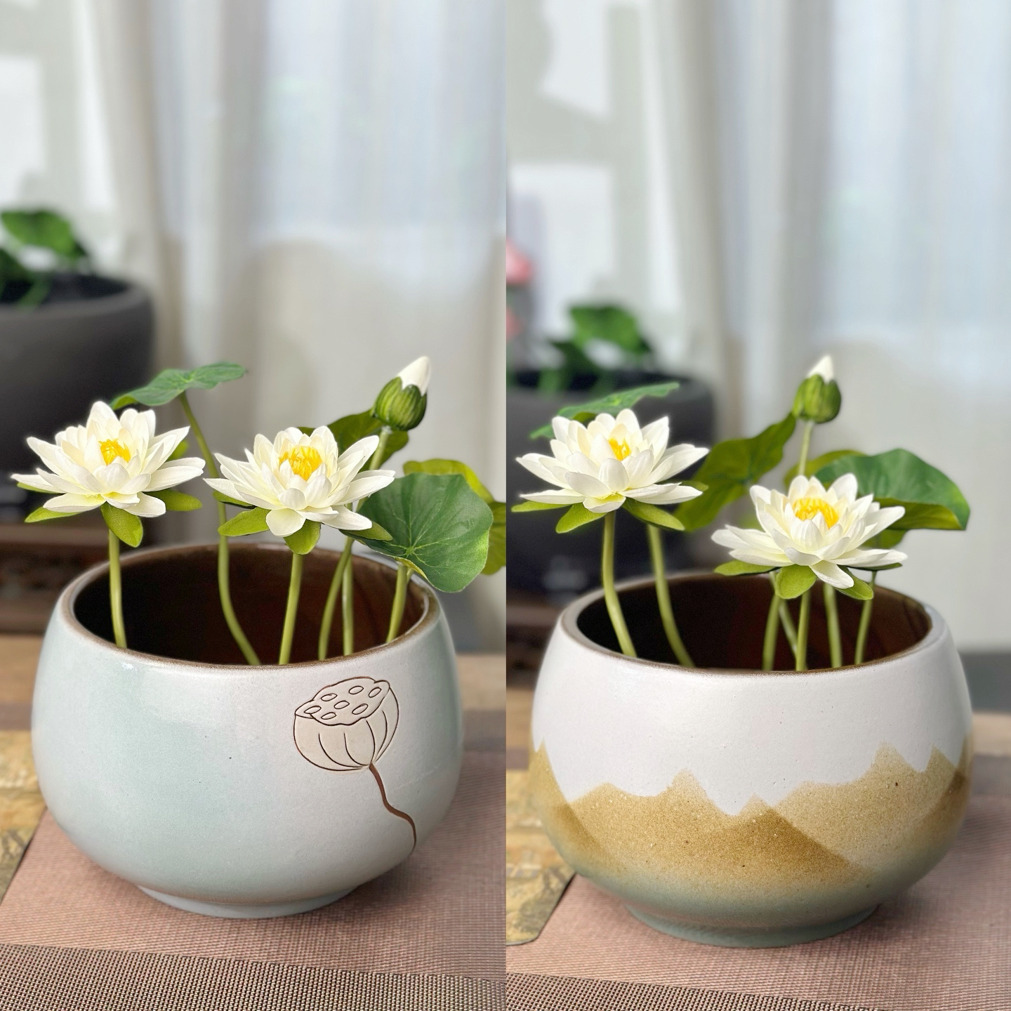 远山莲蓬碗莲大口径无孔铜钱草一叶莲碗莲铜钱草专用盆
