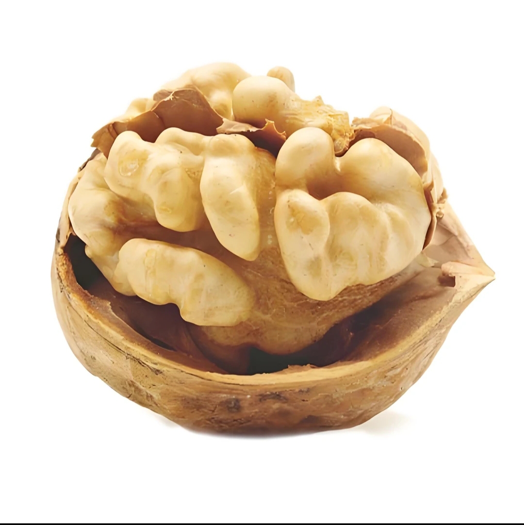 2025年185纸皮核桃薄皮核桃 手可捏开