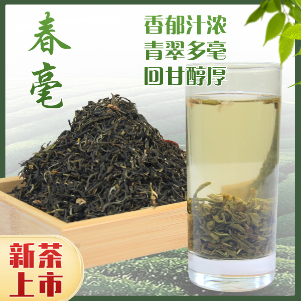 【茉莉春毫】2025新茶 浓香型 口粮茶 经久 耐泡 口重