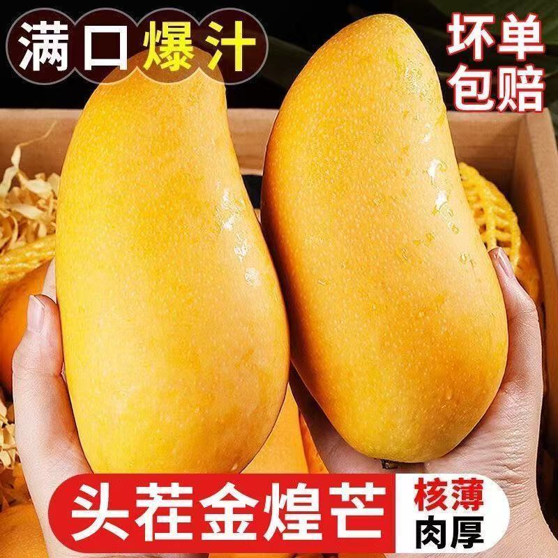 【正宗金煌芒】云南金煌芒新鲜应季水果香甜多汁核薄肉厚现摘现发
