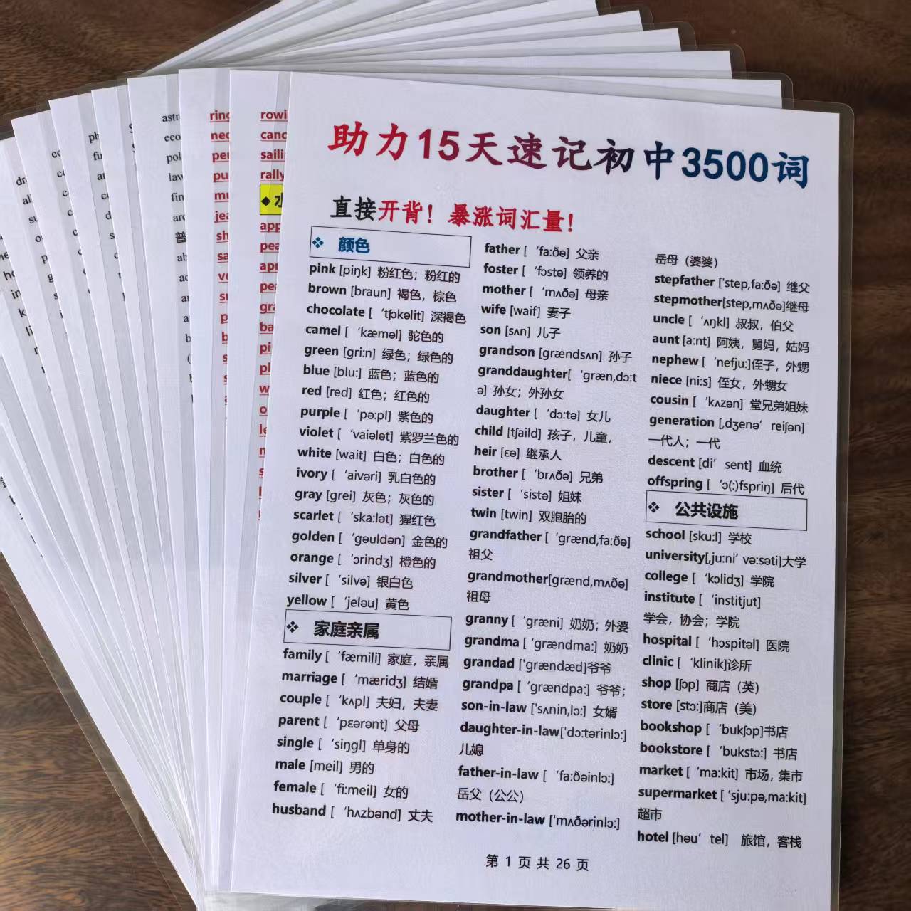 助力15天英语单词初中3500词彩色版A4塑封反复背诵单词表训练