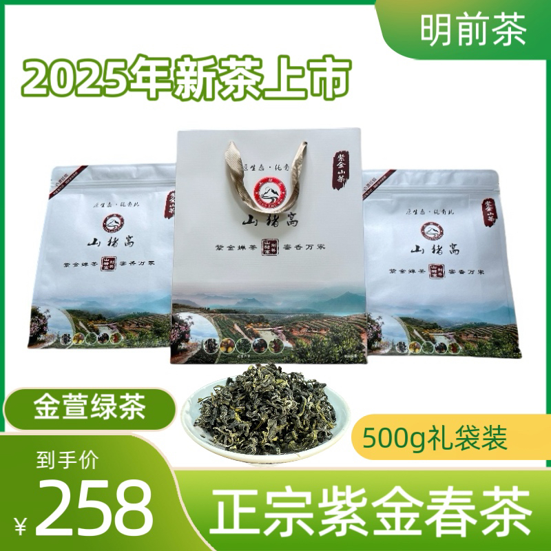 山猪窝头春茶｜紫金绿茶｜香气高扬鲜爽回甘2025高山云雾茶叶250g*2