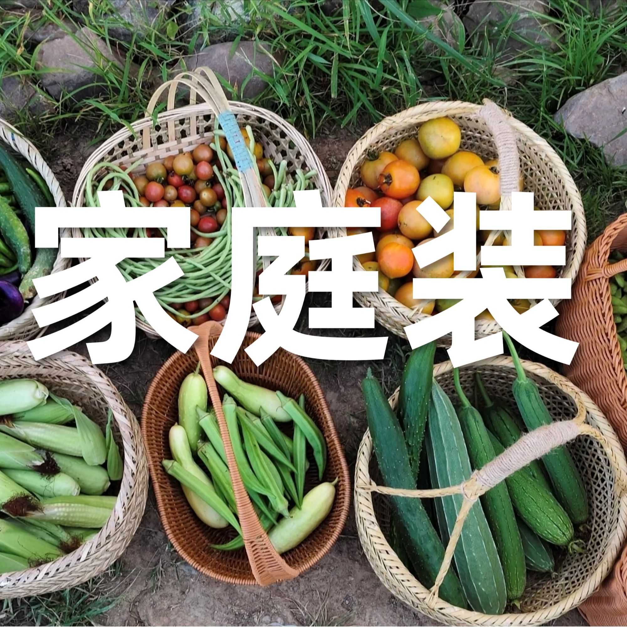 农库3-4口之家应季蔬菜配送自然生长0化肥农药激素除草剂顺丰到家