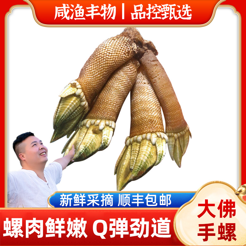 佛手螺中大号现挖鸡爪螺鹅颈藤壶须脚鬼爪螺龟足笔架螺类海鲜水产