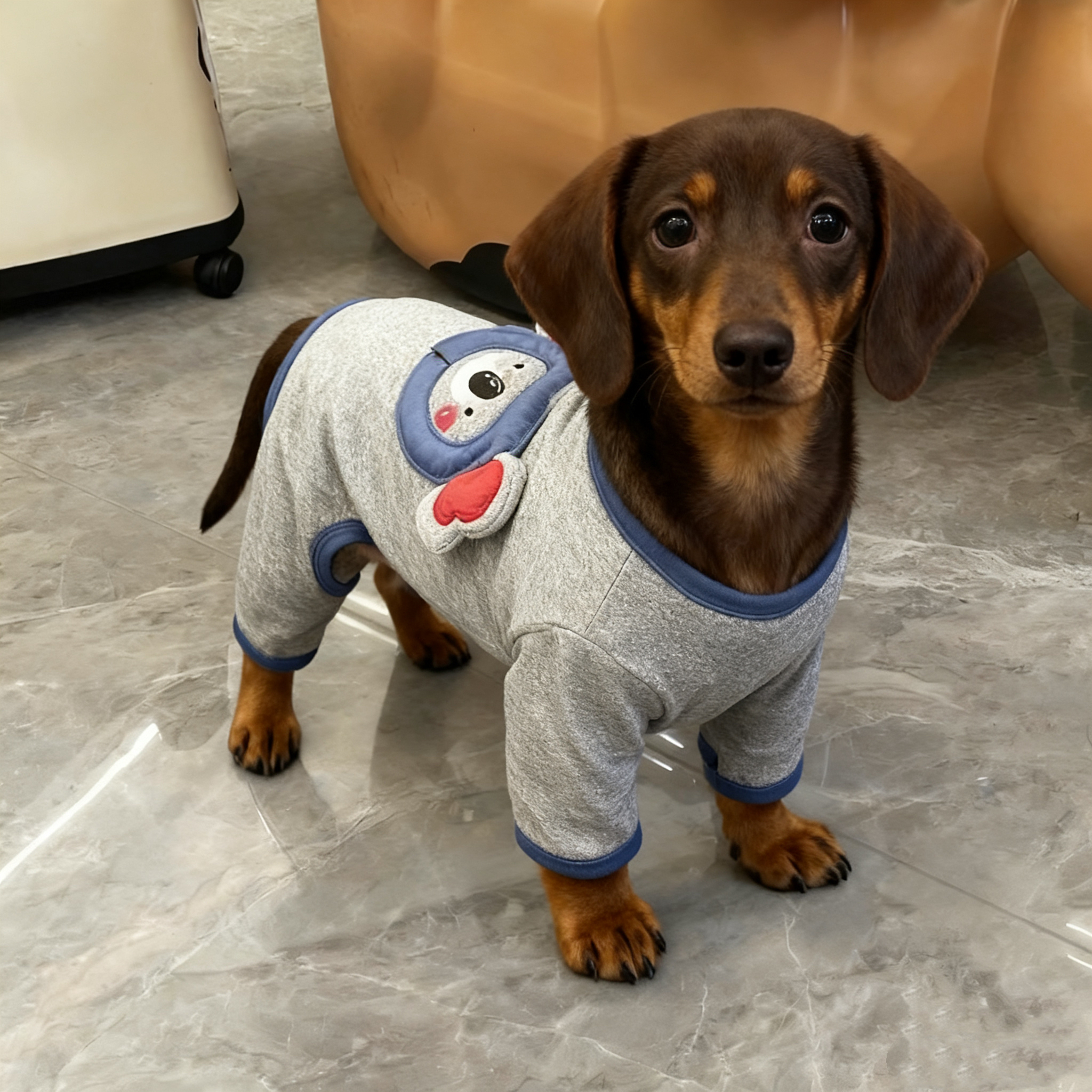 腊肠犬衣服秋冬新款可爱立体考拉四脚衣家居服小型犬狗狗泰迪比熊