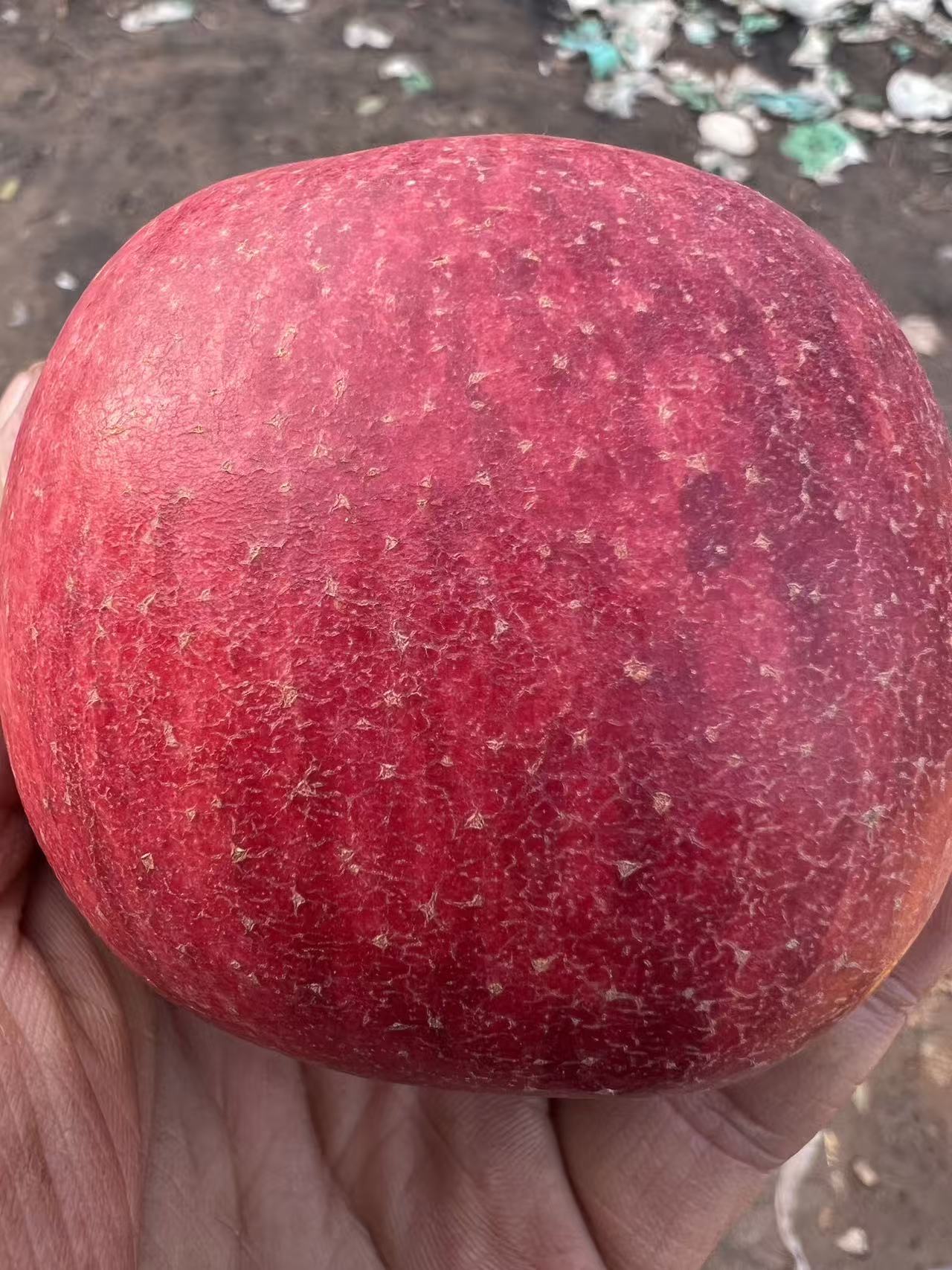 爱妃精品大果净重10斤包邮