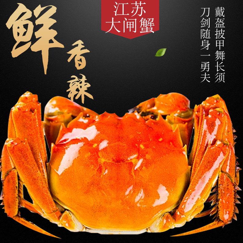 【活蟹】江苏大闸蟹全母蟹4只8只装3.0-2.7两鲜活大螃蟹河蟹毛蟹