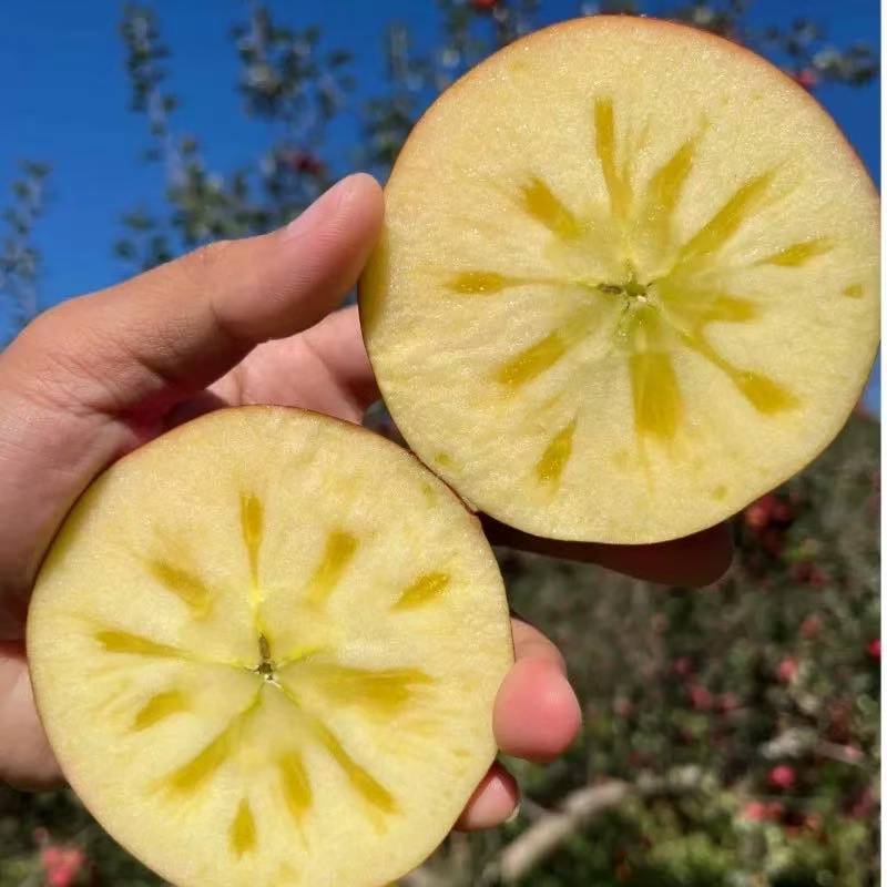 云南昭通冰糖心丑苹果红富士脆甜多汁新鲜采摘5斤起包邮到家