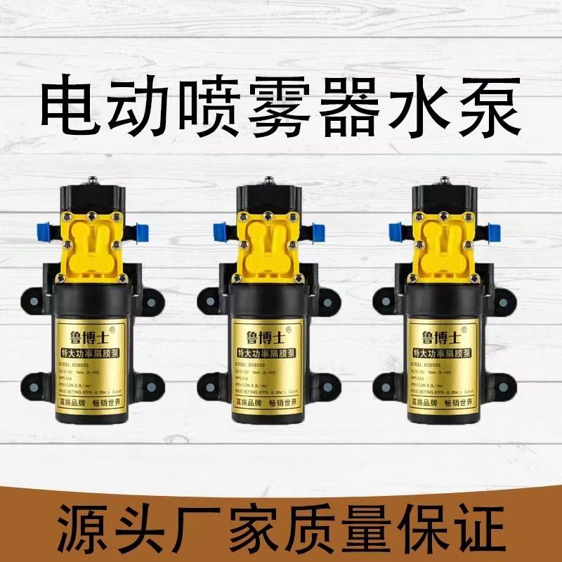 12v农用电动喷雾器水泵隔膜智能高压自吸泵大功率打药机马达配件