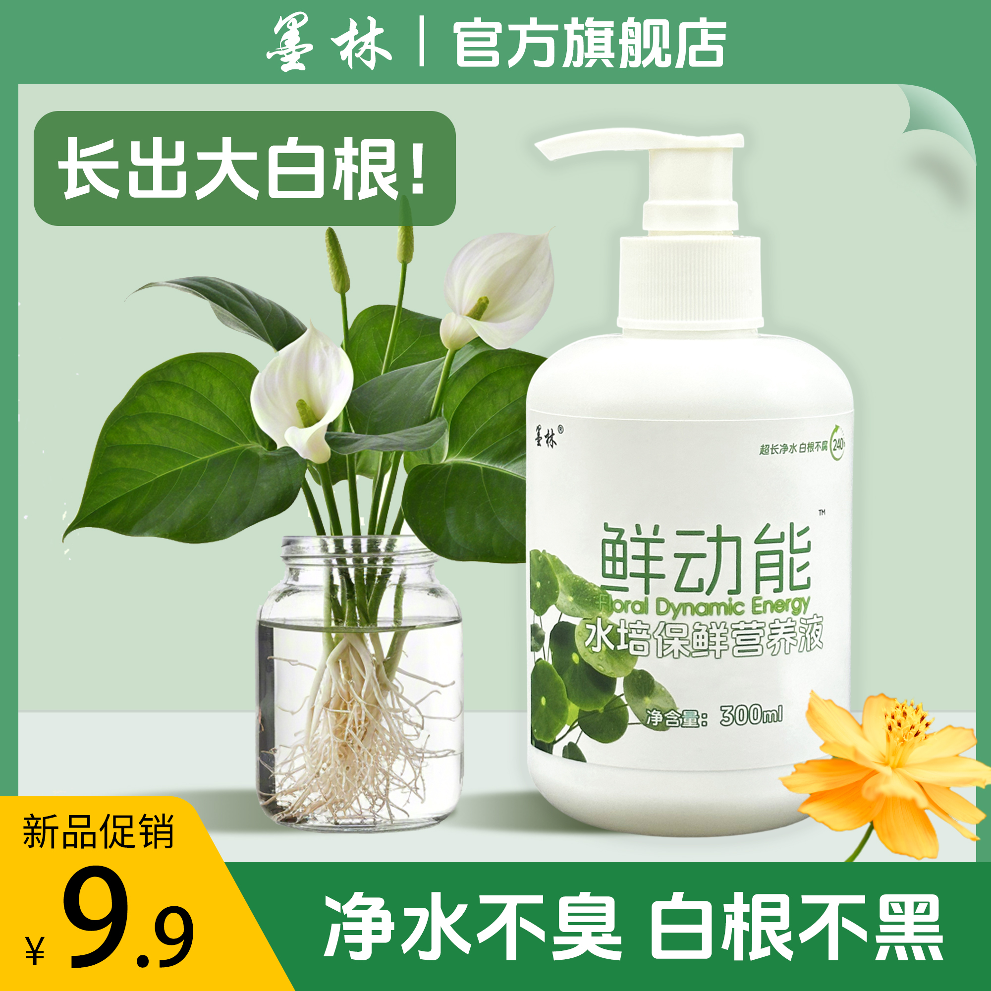 水培植物专用保鲜营养液富贵竹铜钱草碗莲睡莲发财树红掌白掌通用