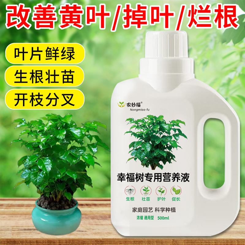 幸福树营养液养花通用型富贵竹发财树盆栽水培浓缩营养液水肥花肥