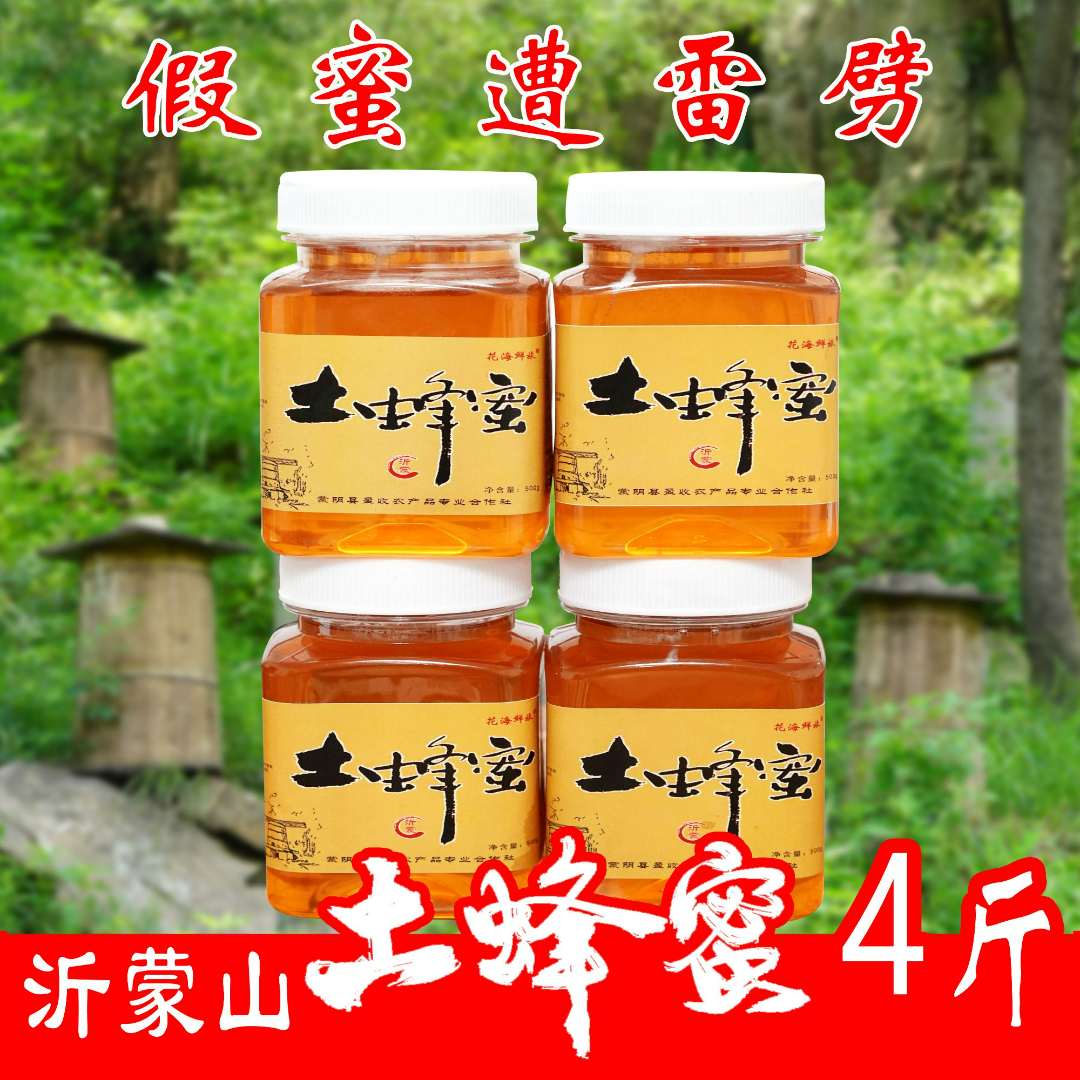 【小王回村专属】沂蒙山土蜂蜜4斤  优质蜜源 采集野山花