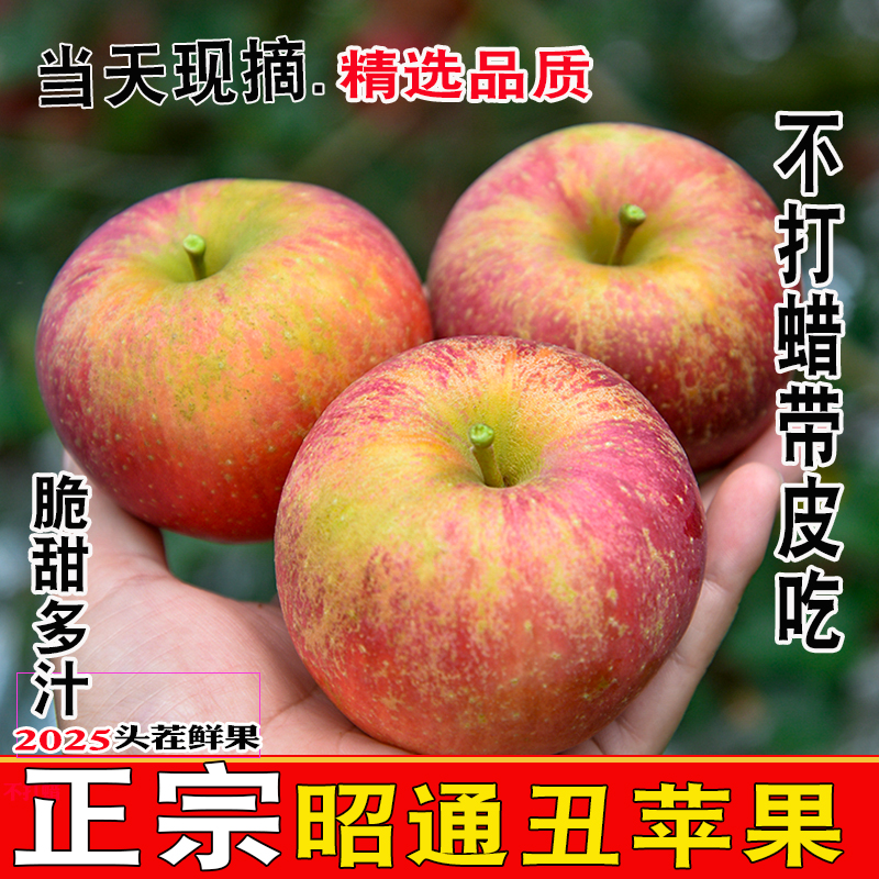 高品质昭通冰糖心丑苹果批发正宗新鲜应季现摘脆甜应季现摘水果