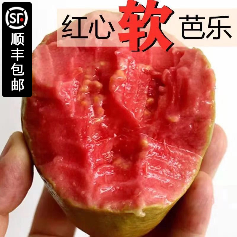 【香软大果】广东软心红心番石榴新鲜水果红心软芭乐净重3/5斤