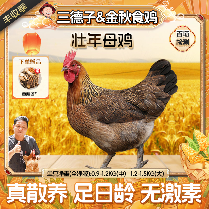 三德子 【壮年母鸡1只】炖汤老母鸡营养价值高喝鸡汤 包冰率不含冰