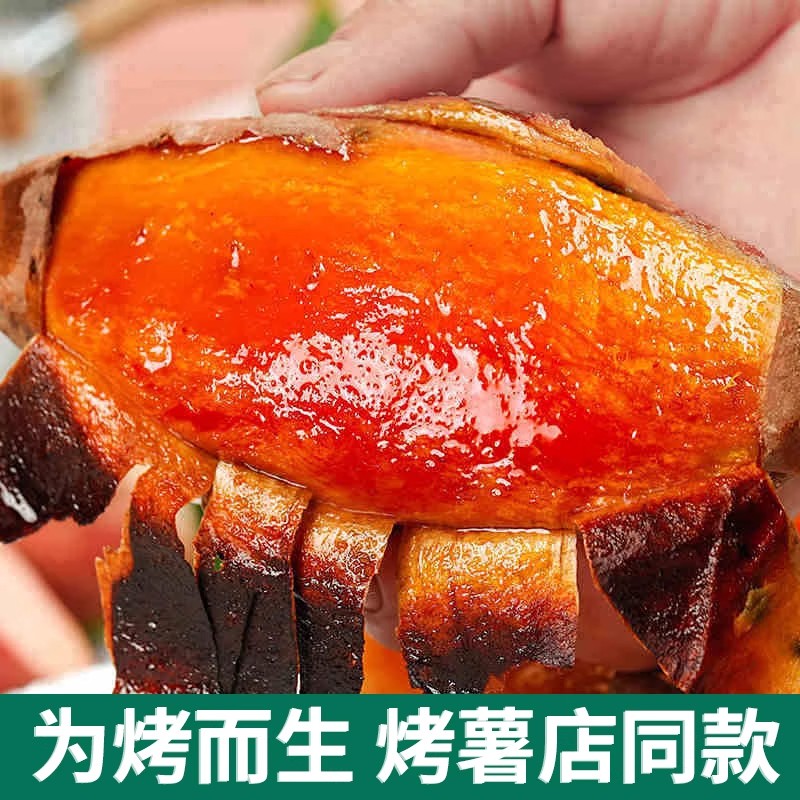 山东正宗烟薯25号糖心流油新鲜优质农产品现挖现发