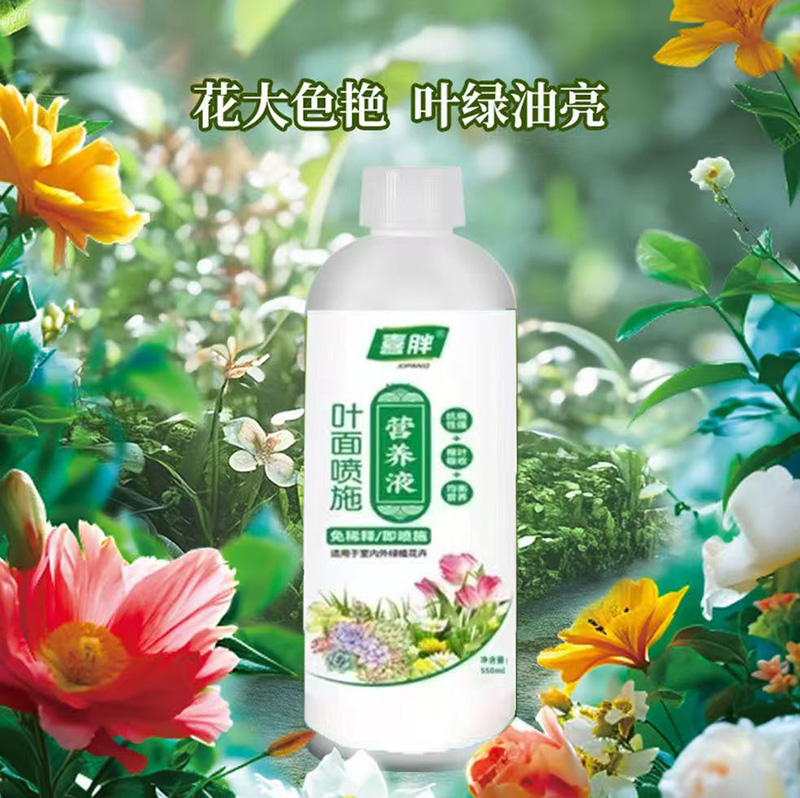 小分子有机植物营养液家庭园艺促进生长温和养护不伤根苗