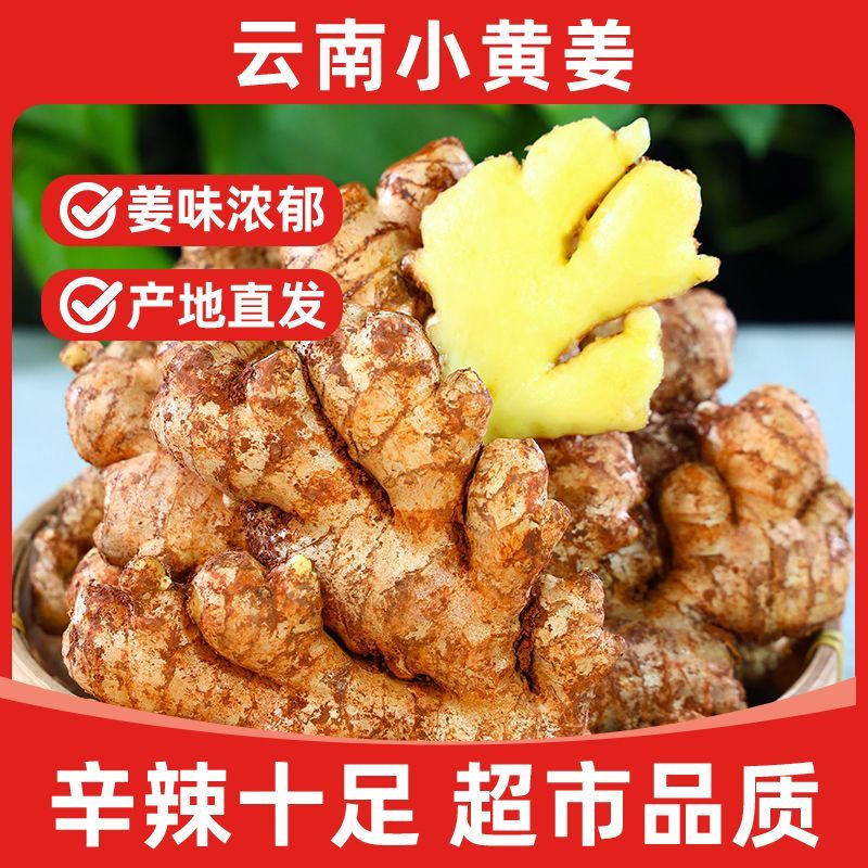 云南山地小黄姜生姜批发现挖新姜老姜嫩姜月子姜农家自种时令蔬菜