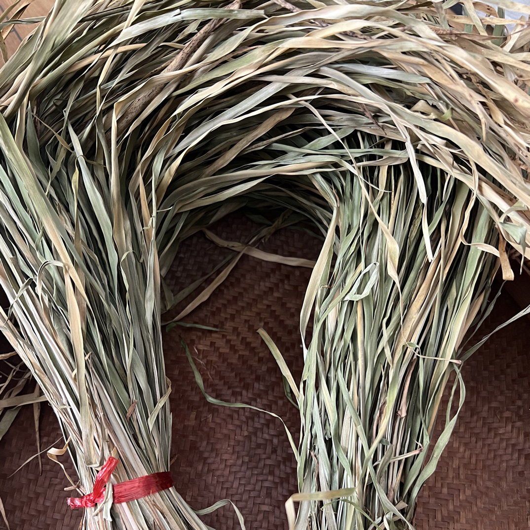 福建连城干荜拔狗料香蒲炖肉香料绿色黄色随机发