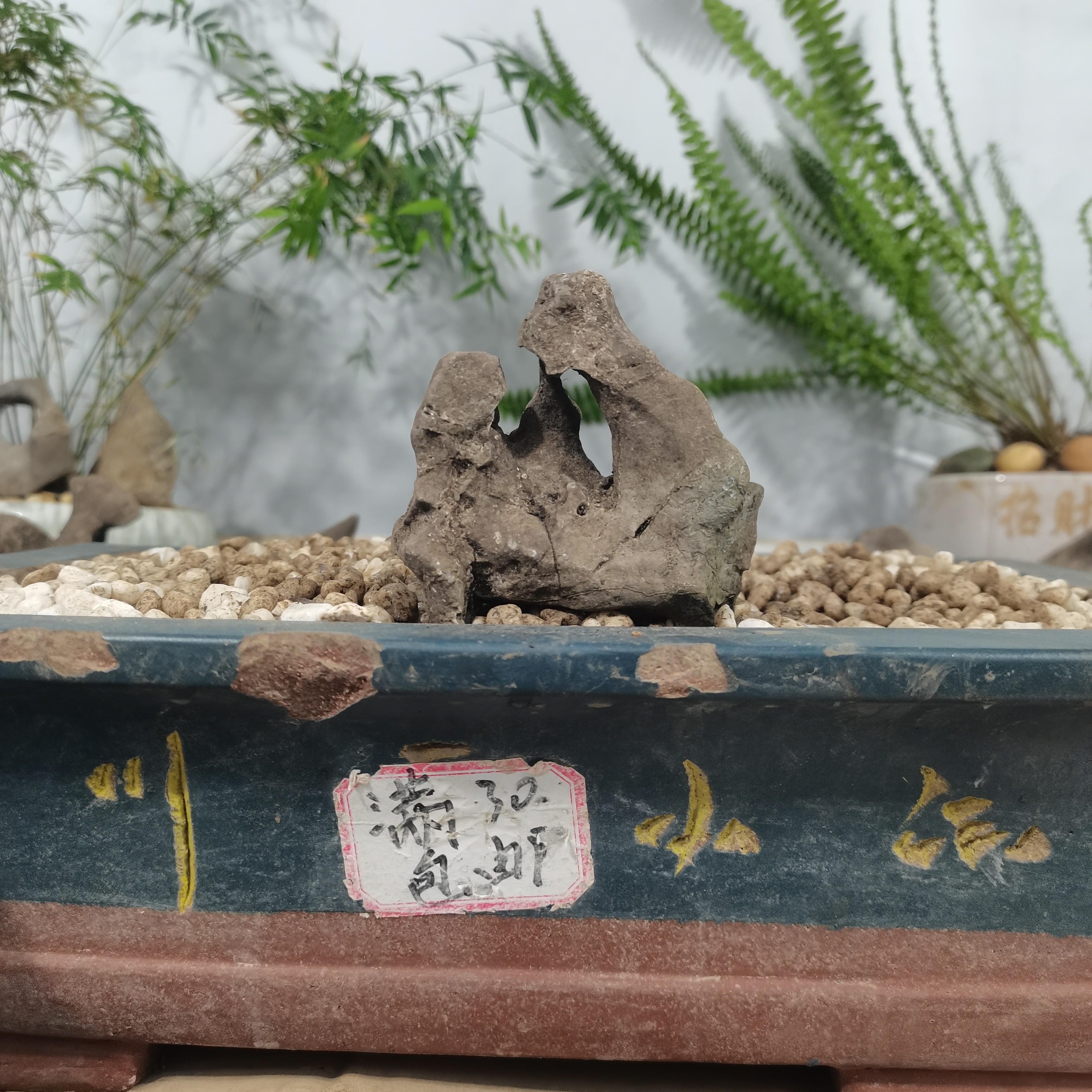 太湖石家居装饰奇石石头观赏石，直播截图假山石天然天然真石