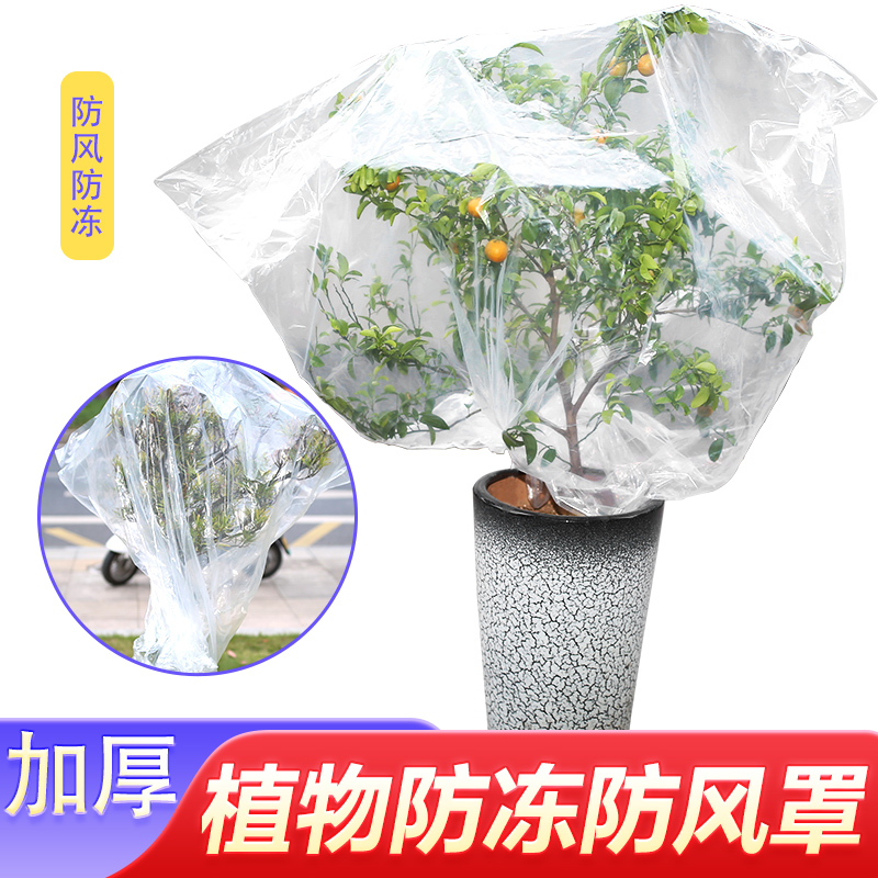 冬季植物防寒保暖套树木花架保温罩绿化花草暖房防冻膜透明塑料袋