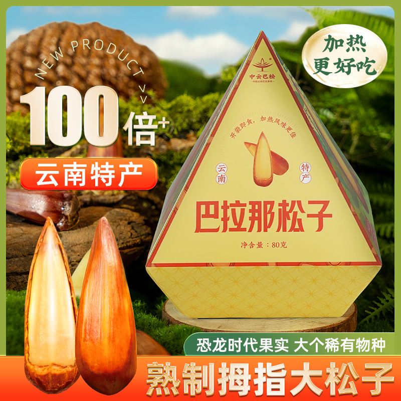 滇品客原味熟食拇指大松子巴拉那松子开口松子巴西王送礼坚果零食