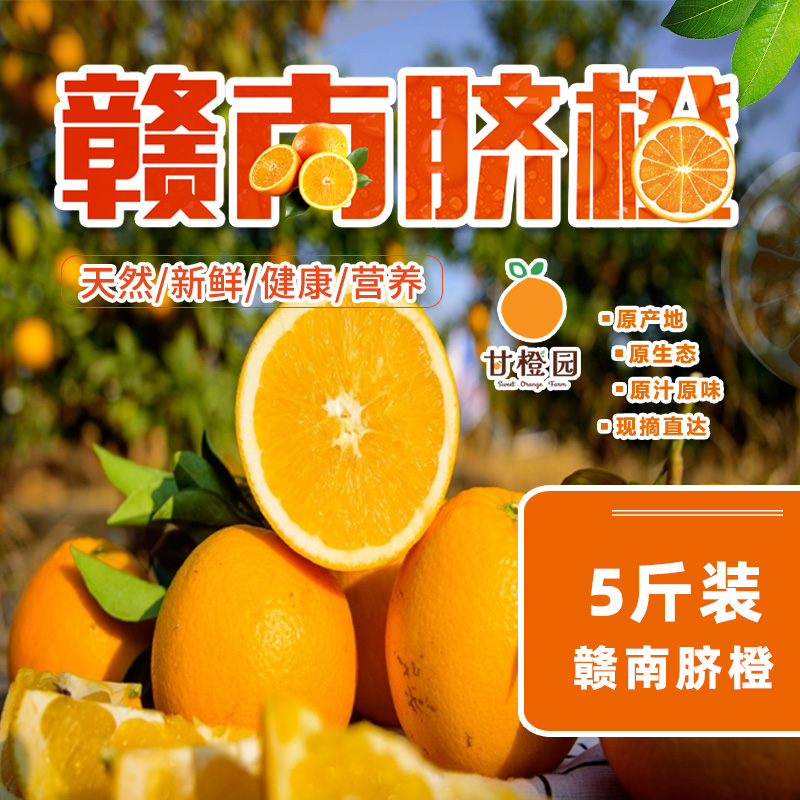5斤赣南脐橙新鲜当天采摘 赣南脐橙甘橙园应季水果新鲜赣南脐橙橙