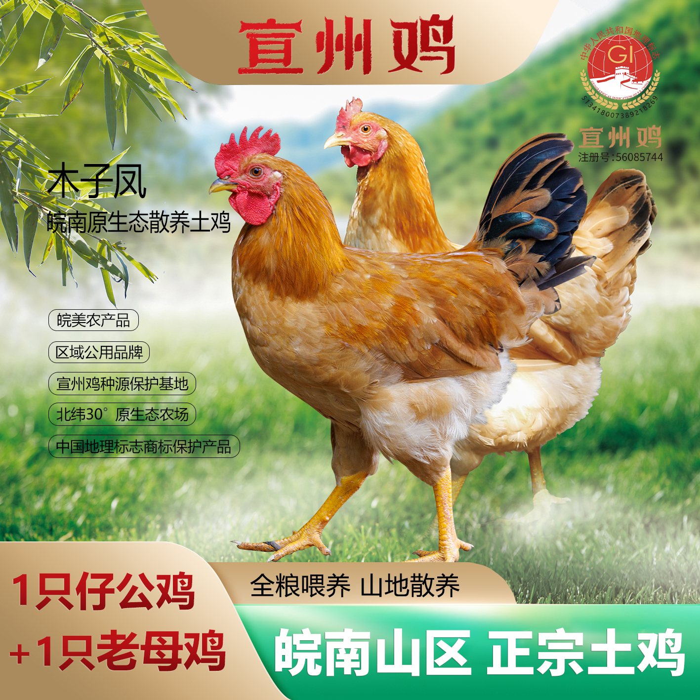 木子凤宣州鸡组合装（ 童子鸡+老母鸡）2只生态散养 新鲜 顺丰快递