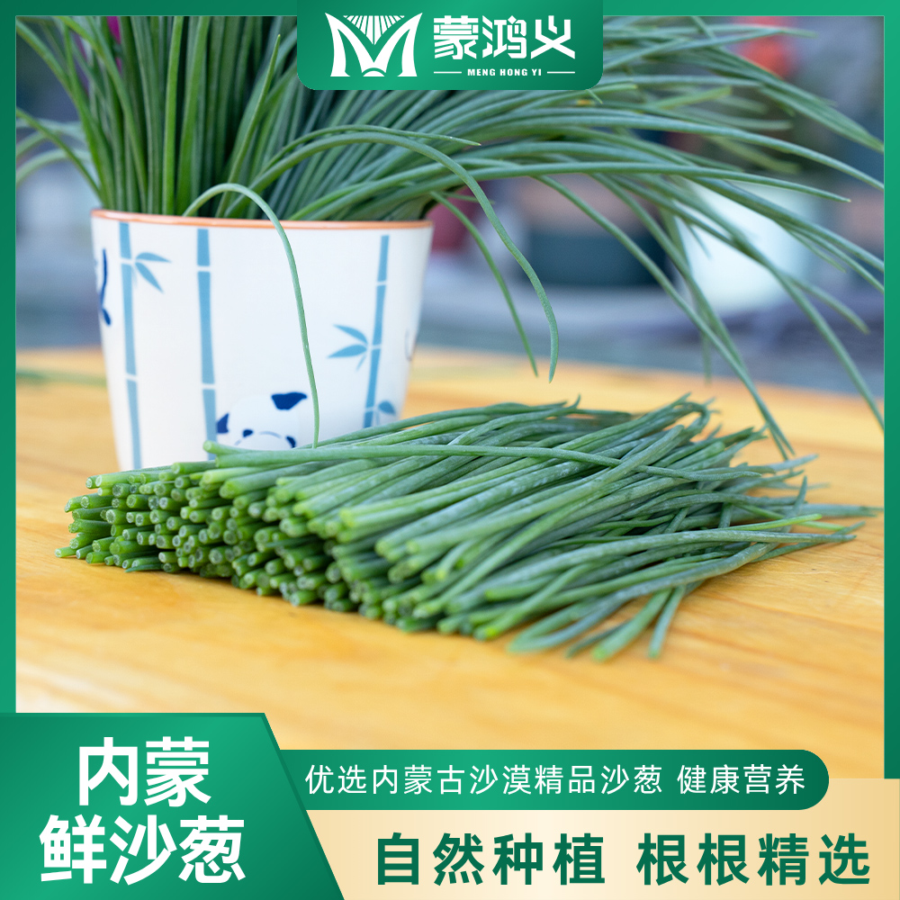 蒙鸿义现割新鲜内蒙沙漠精品沙葱种植基地直发凉拌各种烹炒涮拌馅