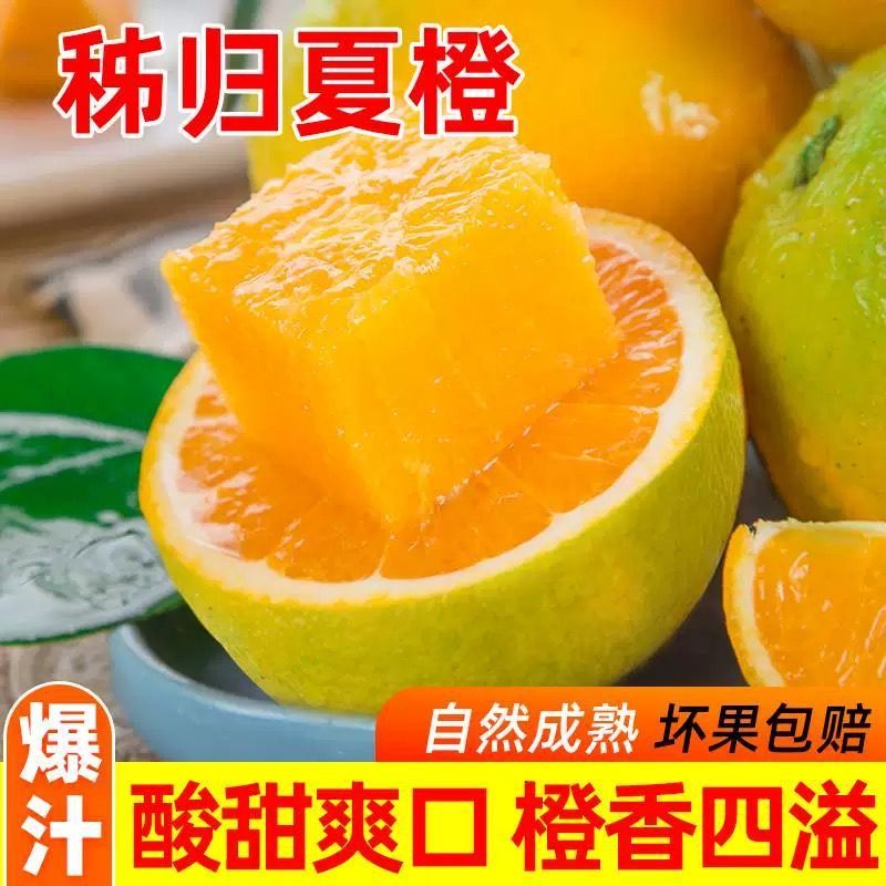 （现摘）湖北秭归九月红中华红血橙伦晚果冻橙现摘新鲜水果橙子