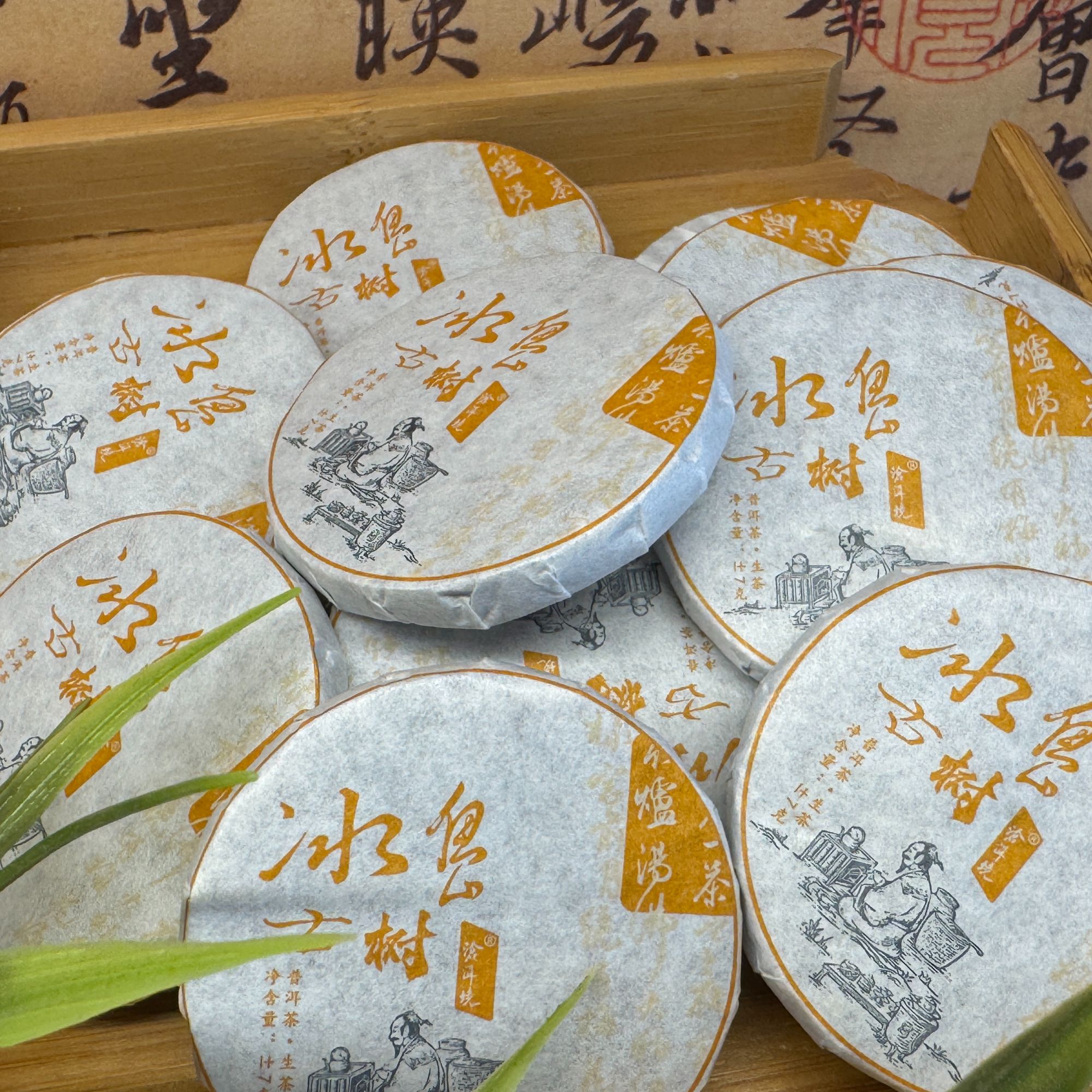 沧洱境10片*7克装2024年春，纯正冰岛古树普洱生茶，新店福利