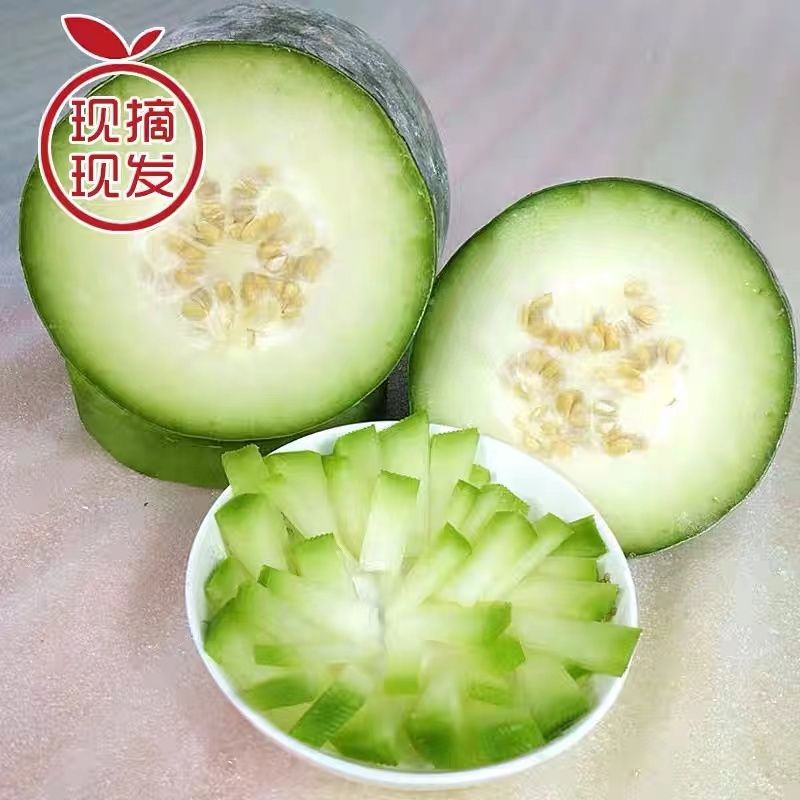 河南露天种植水果小冬瓜现摘现发5/9斤装
