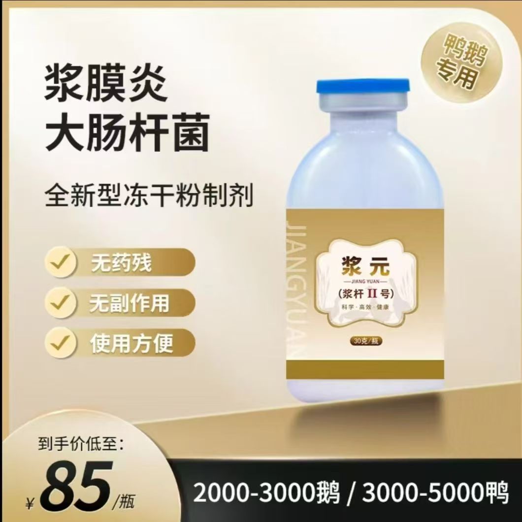 鸭鹅浆膜炎大肠杆菌专用冻干粉针对包心包肝腿软饮水拌料